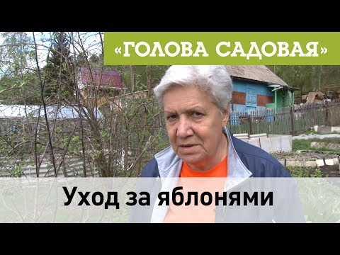 Видео: Голова садовая - Уход за яблонями