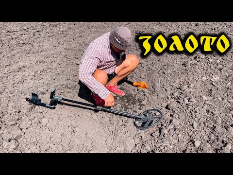 Видео: Знайшли ЗОЛОТО🤯