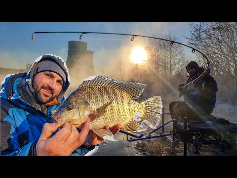 Видео: Как ловить крупную ТИЛАПИЮ? Насадки, прикормка, место. Зимняя рыбалка 20\21