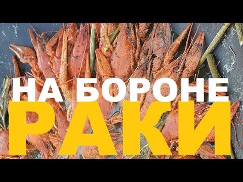 Видео: РАКИ НА БОРОНЕ В МАНГАЛЕ РЕЦЕПТЫ СЮФ