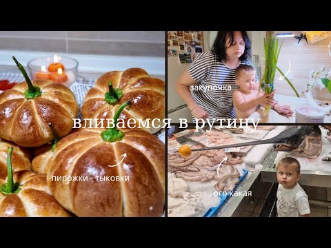 Видео: Всё пропало, пришлось делать закупку! Хит осени : пирожки - тыковки🎃