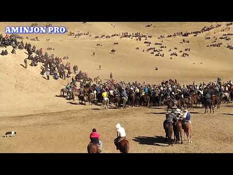 Видео: Бузкаши дар дехаи САРЧАШМА (Саричашмаи) н. Шуробод#2 Сухроб човандоз,Файзали,