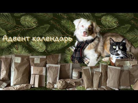 Видео: 🎄АДВЕНТ КАЛЕНДАРЬ ДЛЯ СОБАКИ 🐶