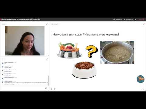 Видео: 2 Щенок  диетология