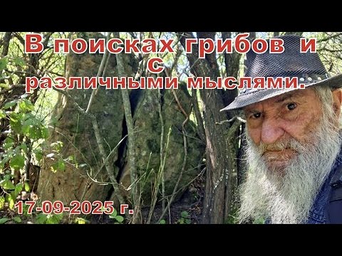 Видео: Поиски грибов с различными мыслями