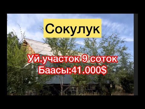 Видео: Сокулук уй сатылат Арал айылында