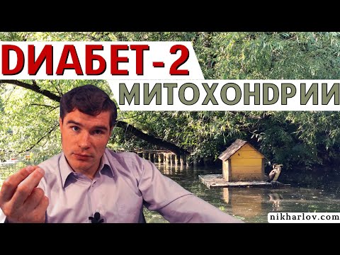 Видео: Митохондрии и Диабет 2 типа. Старые таблетки снижают сахар крови, а механизмы и последствия разные.
