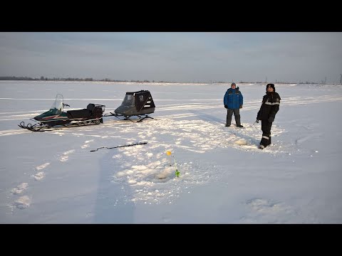 Видео: Сани Метелица 1 тест драйв