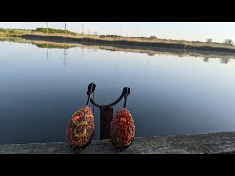 Видео: И СНОВА ДИКАРЬ!!! РИБАЛКА НА ФЛЕТ!!!