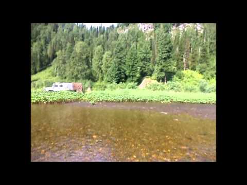 Видео: Газ 3308 #32 24,07,14 р Томь