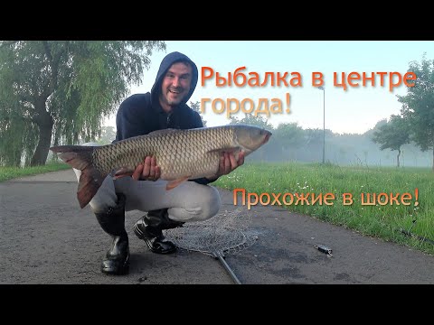 Видео: МОНСТРЫ клюют на ОГУРЕЦ в центре города на реке! Эти паровозы едва получается остановить!