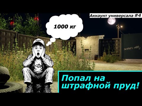 Видео: "1000 кг на Штрафном пруду! | Русская Рыбалка 4"