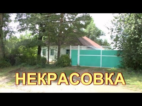 Видео: Прогулка по с.Некрасовка Урджарского района.Часть 2.