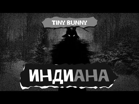 Видео: Индиана. Tiny Bunny
