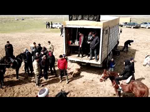 Видео: 19.03.22ж Қоссейіт ауылы 10 жылдық түлектердің Көкпар тойы. 1995 тер. #Көкпар#көк бөрі#Жаппай