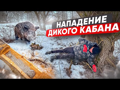 Видео: НА МЕНЯ НАПАЛ КАБАН! ЖИЗНЬ В ЗАБРОШЕННОЙ ДЕРЕВНЕ!