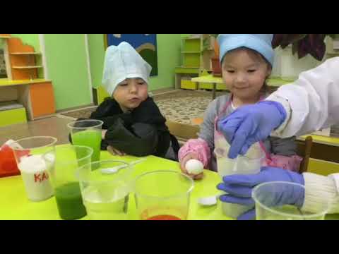 Видео: Мектеп жасына дейінгі балаларға арналған «Мен зерттеушімін»   байқауы