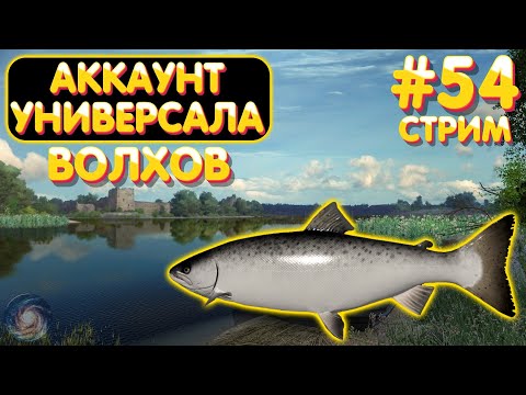 Видео: Волхов 🔥 Аккаунт универсала #54 стрим 🎁 Бокс с премом на TROVO 🎁 Русская Рыбалка 4 #1117