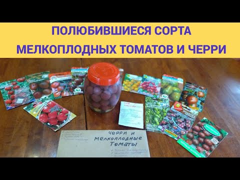 Видео: ПОЛЮБИВШИЕСЯ СОРТА МЕЛКОПЛОДНЫХ ТОМАТОВ И ЧЕРРИ