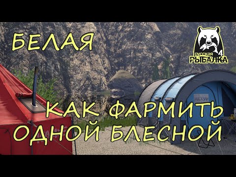 Видео: Русская рыбалка 4. Белая. Фарм. Хариус. Спиннинг. Вертушки.
