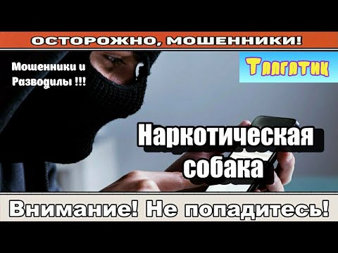 Видео: Мошенники звонят по телефону / Всё будет зашибись ( сборник ).