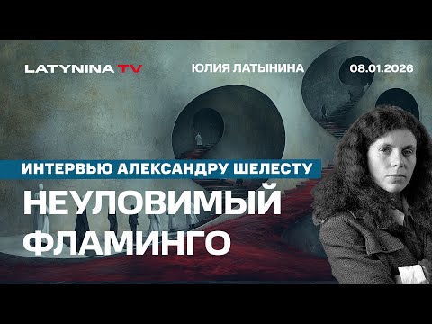 Видео: А был ли Фламинго? Зеленский - стратегия жертвы. Старлинк. Эпштнейн. Интервью Александру Шелесту