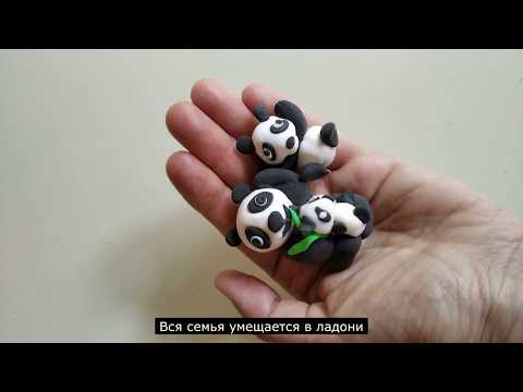 Видео: Сохраним природу вместе. Мастер-класс по лепке из воздушного пластилина "Панды".