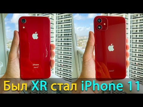 Видео: Собираем iPhone 11 из iPhone XR