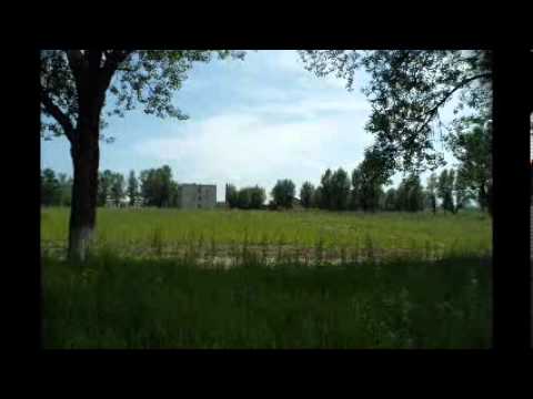 Видео: "гвинея" в/ч 28560.wmv