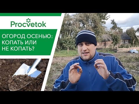 Видео: Копать или не копать огород осенью? Мнение агронома