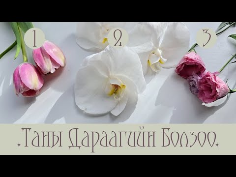 Видео: [Таро] Таны Дараагийн Болзоо? 💐📅💏 + Energy Check (Нэмэлттэй)