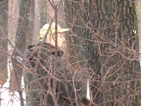 Видео: Загонная охота на кабана в охотхозяйстве Ракитное ч1