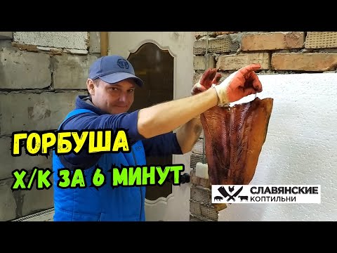 Видео: Очень ВКУСНАЯ Горбуша Холодного Копчения в Электростатической коптильне!