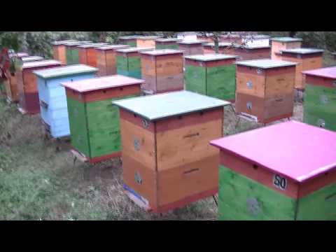 Видео: Подставки для ульев.