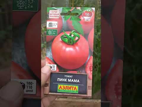 Видео: Наши любимые помидорки в начале июня (рекомендуется к просмотру на мобильных устройствах).