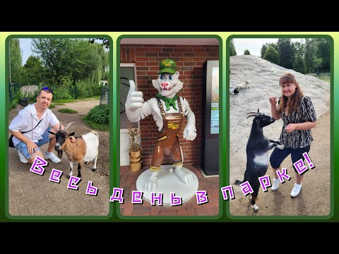 Видео: VLOG из 🇩🇪: Мы провели весь день в парке Thüle.
