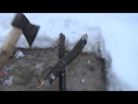 Видео: Проверка капканов на куницу, бобра.