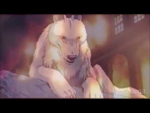 Видео: 「ＡＭＶ」Тони Раут - Парадайз