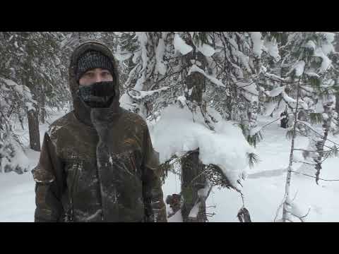 Видео: Охота на соболя. Сезон 5. Финал.