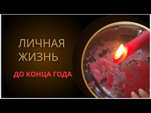 Видео: 😍ЛИЧНАЯ ЖИЗНЬ ДО КОНЦА ГОДА