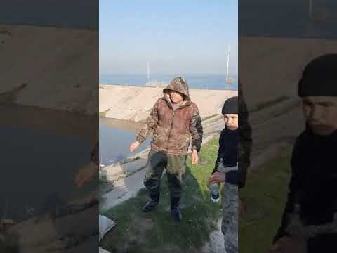 Видео: Задержаны браконьеры со 130 кг сазана