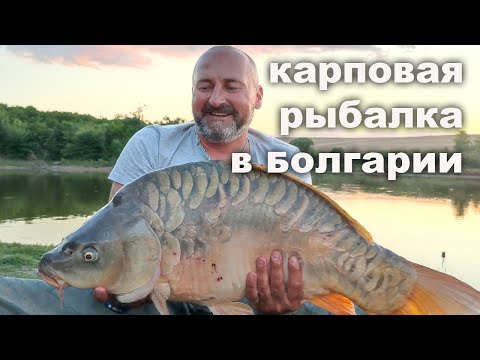 Видео: Потрясающая карповая рыбалка в Болгарии