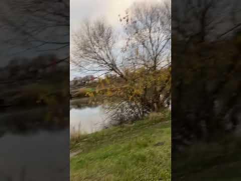 Видео: здоровʼя, довголіття