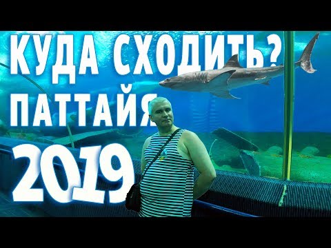 Видео: Тайланд 2019. Что посмотреть В Паттайе? Экскурсия в Океанариум Underwater World в Паттайе