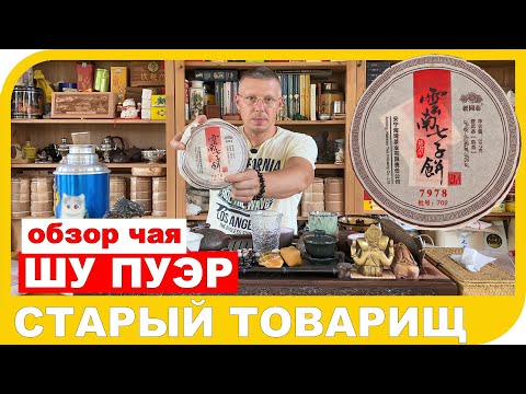 Видео: ОБЗОР ШУ ПУЭРА ХАЙВАНЬ СТАРЫЙ ТОВАРИЩ 7978