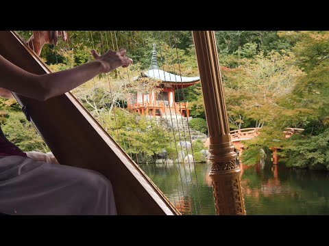 Видео: Красивая арфа мира Музыка 🗾 Расслабляющая Япония 🗾 Небесная инструментальная музыка на арфе