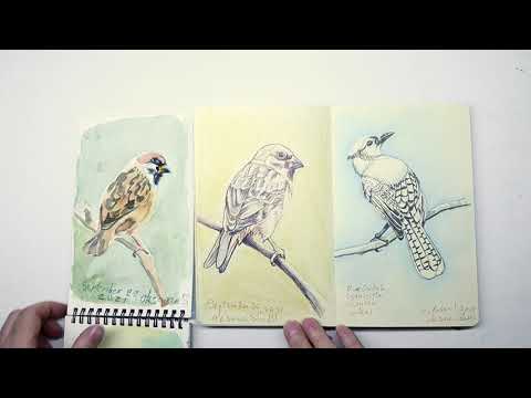 Видео: Мои Скетчбуки с Рисунками и Акварелью