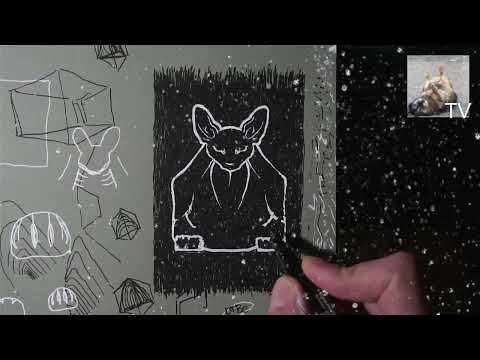 Видео: точка вещания 231025 2