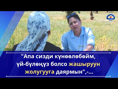 Видео: "Апа сизди күнөөлөбөйм, үй-бүлөңүз болсо жашыруун жолугууга деле даярмын" / Кайдасың?