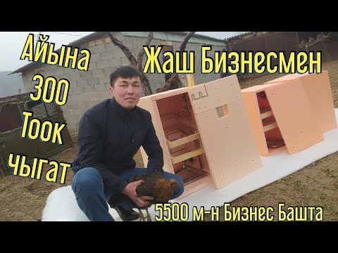 Видео: НУРЛАН НАСИП Чоң Бизнес БАШТАДЫ Айына 300 ✔️ Чөчө  Чыгарам дейт